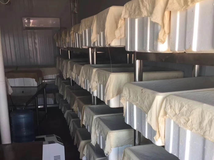 XPJ官方网站成品