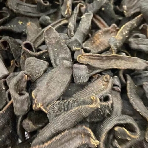 XPJ官方网站成品