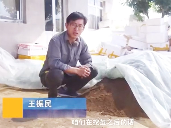 卵化土的调制