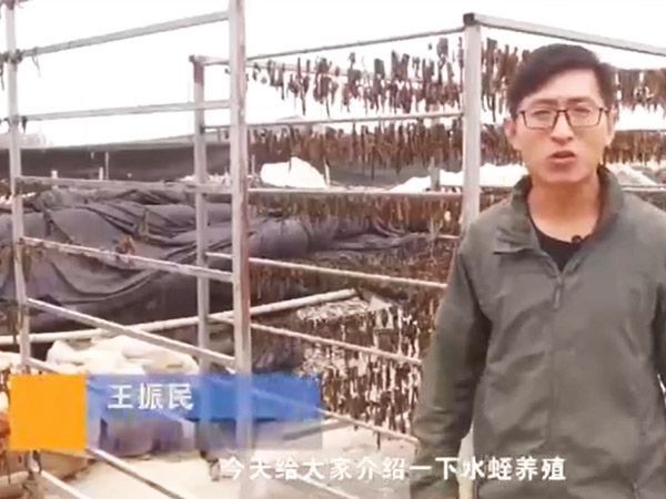 行业现状