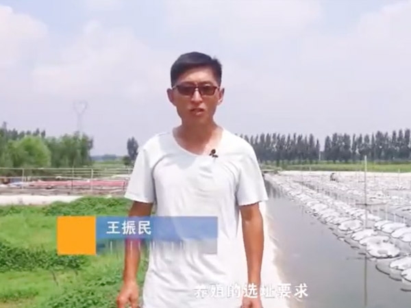 选址-位置选择