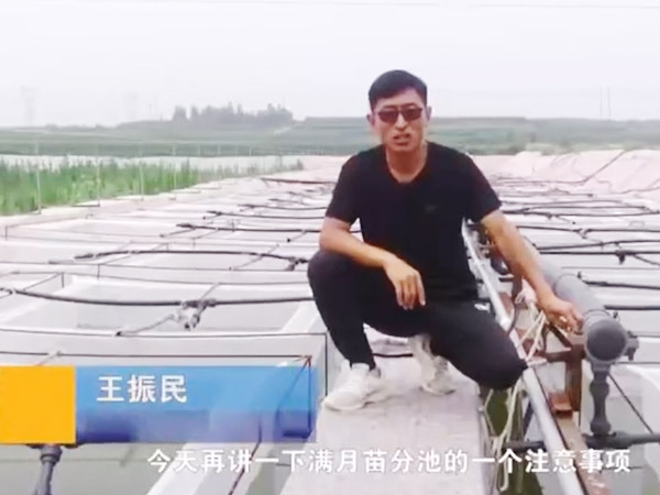 XPJ官方网站满月苗的注意事项