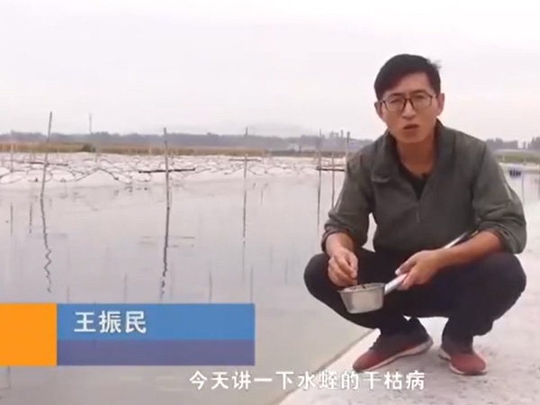 small4_17113377515582777 XPJ官方网站干枯病发生活规律及防治方法