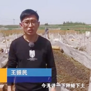 种蛭下土注意事项