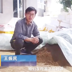 卵化土的调制
