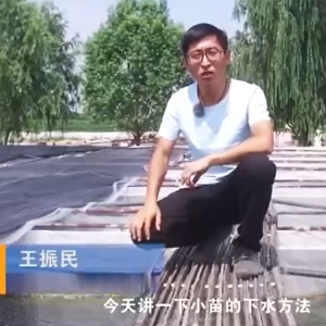XPJ官方网站小苗的下水方法