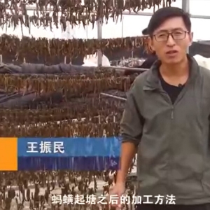 XPJ官方网站加工方法