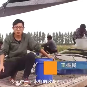XPJ官方网站收获时间